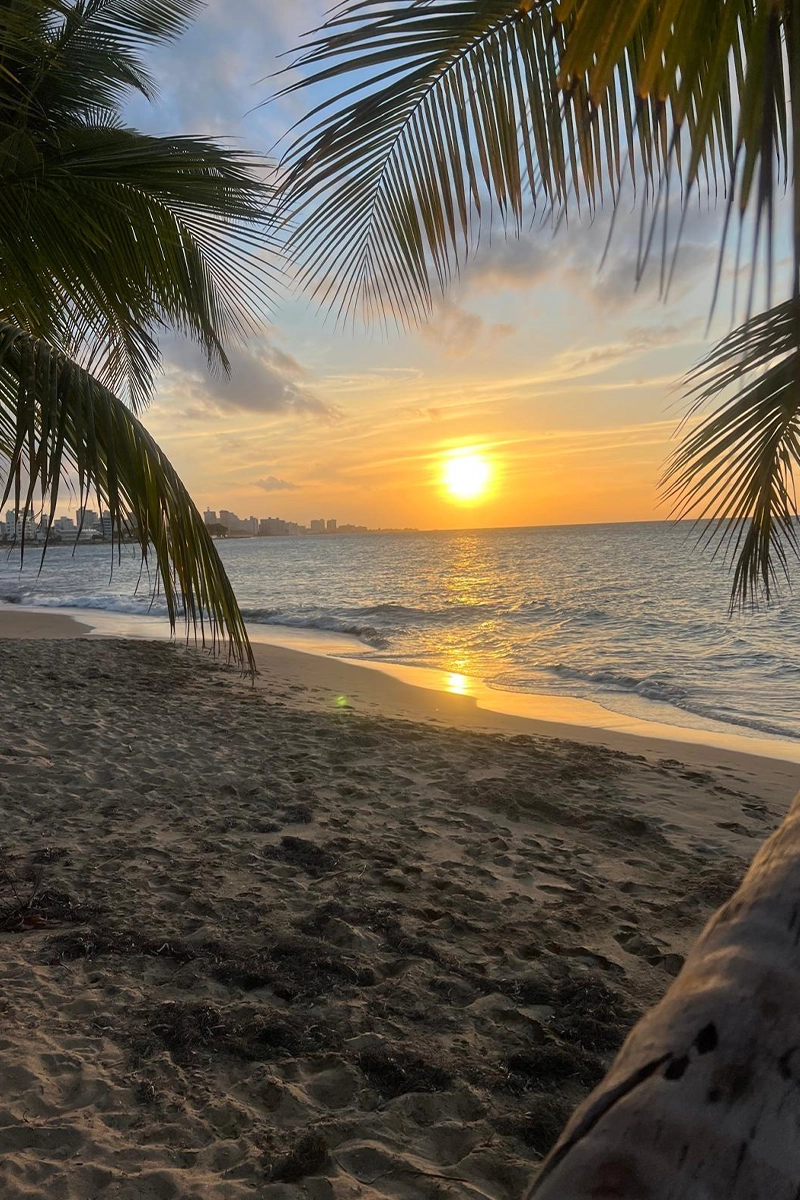 Curated Destinations